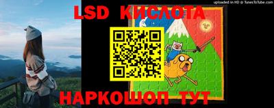 дмт Кингисепп