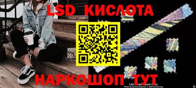 дмт Кингисепп
