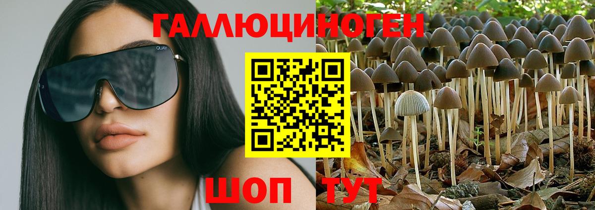 Псилоцибиновые грибы ЛСД  Вход с VPN  Кинель  Галлюциногенные грибы Magic Shrooms 
